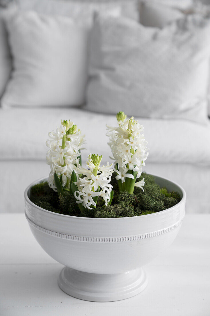 White hyacinths in decorative bowl on coffee table