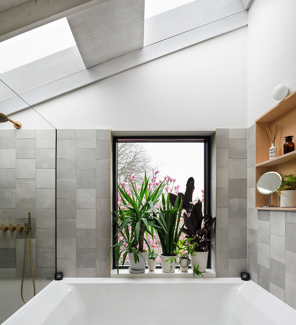 Plants on windowsill in grey, modern bathroom with skylight