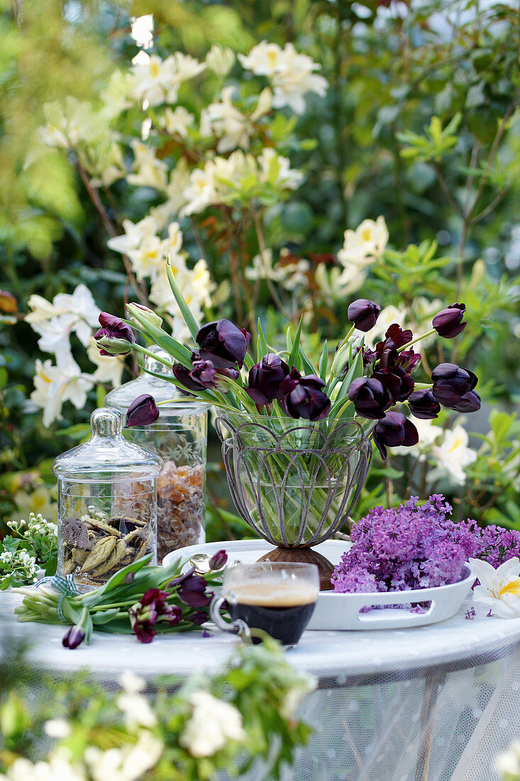 Arrangement of vase of black tulips, lilac flowers, glass cup of espresso and jars of biscuits and rock sugar