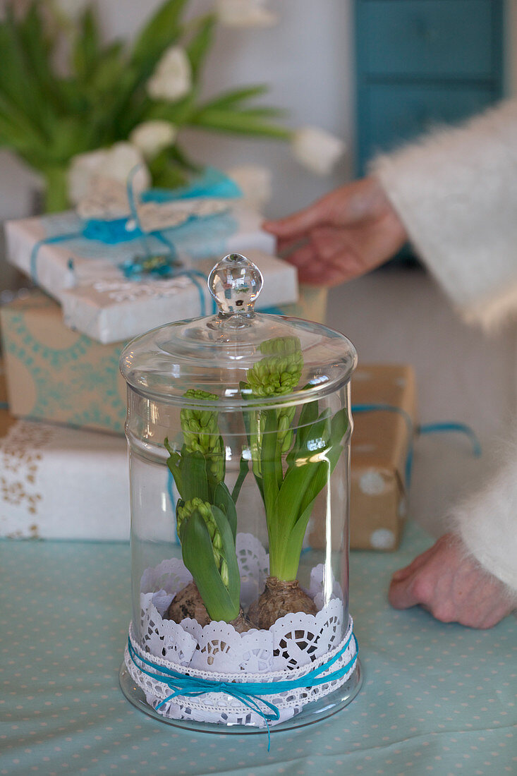 Hyacinths with cake toppers in a glass jar with a lid