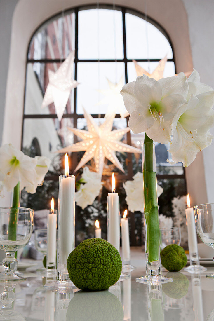 Weihnachtlich gedeckter Tisch mit weißer Amaryllis und Kerzen
