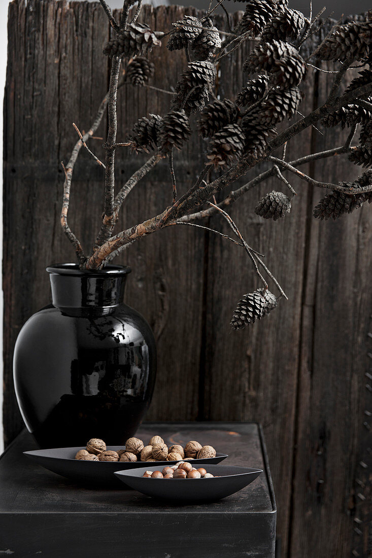 Zweig mit Lärchenzapfen in schwarzer Vase