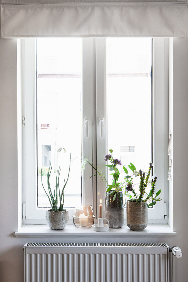 Houseplants, vases and candles on windowsill