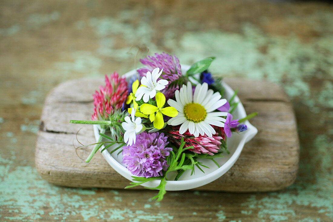 Early summer flowers: ox-eye daisy, clover, rapeseed and chickweed