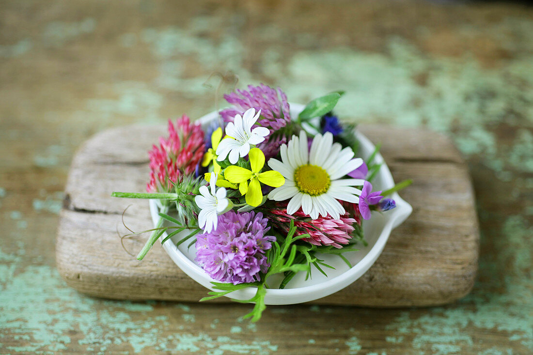 Frühsommerblüten: Margerite, Klee, Raps und Hornkraut