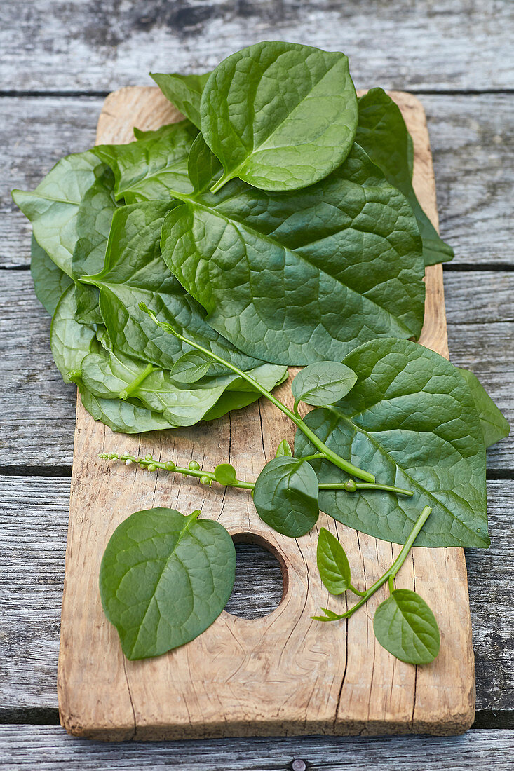 Basella alba or Malabar spinach leaves on cutting board on grey wood
