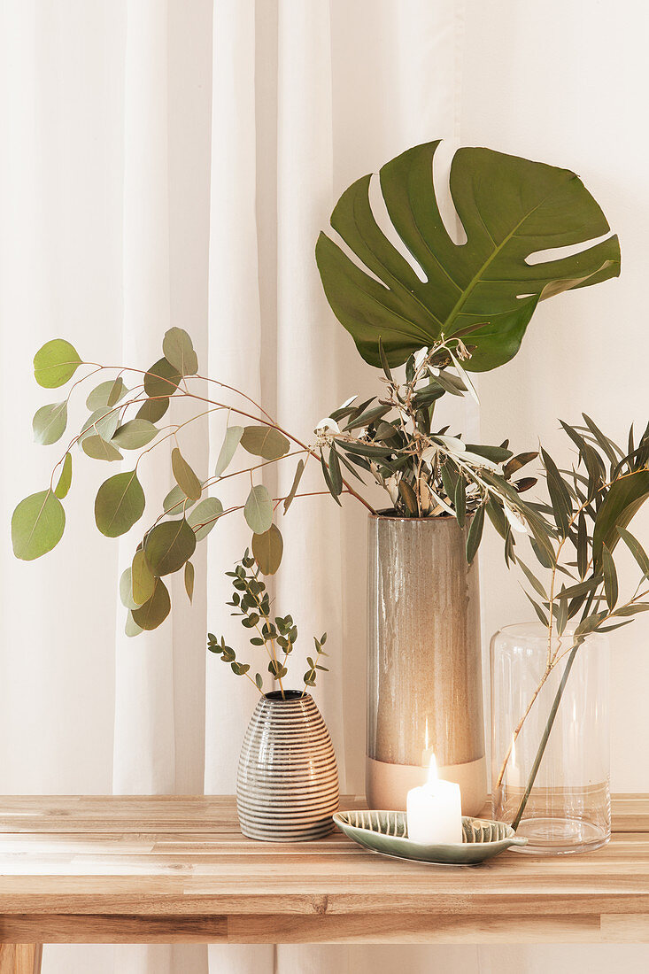 Eucalyptus, olive and Swiss cheese plant leaves in vase