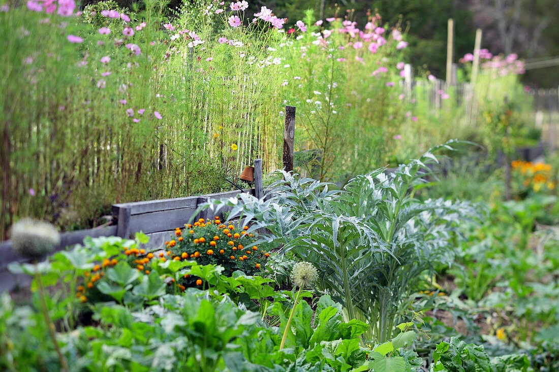 Vegetables and summer flowers in organic garden