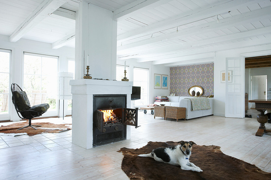 Helles Wohnzimmer mit Kamin in der Mitte, davor Hund auf Tierfellteppich