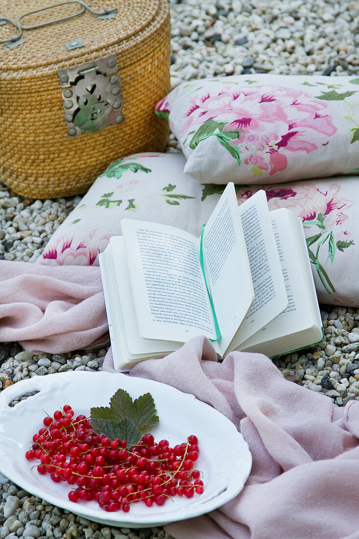 Picknickkorb, Kissen mit Blumenmuster, Buch und rote Johannisbeeren