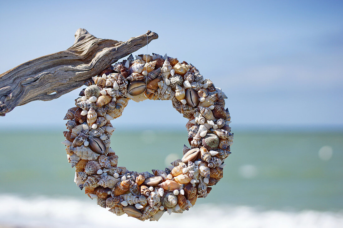 A wreath of shells on the beach
