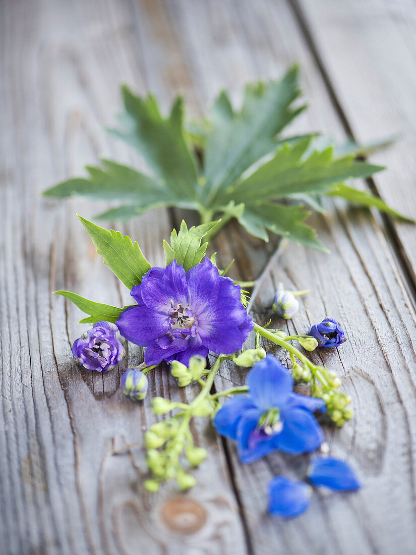 Purple and blue delphinium flowers on a wooden surface