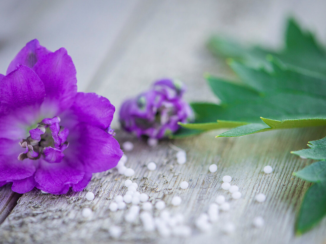 Lilac delphinium flowers on a wooden surface