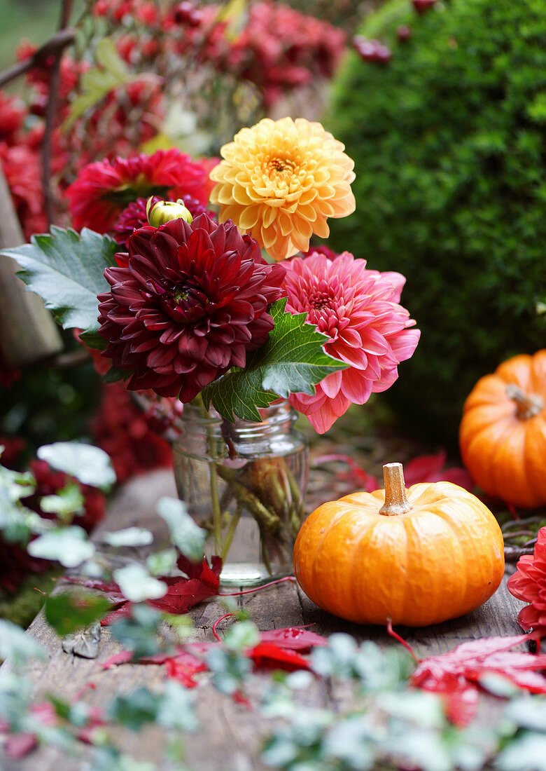 Autumn table decorated with dahlias, pumpkins, ivy and maple leaves