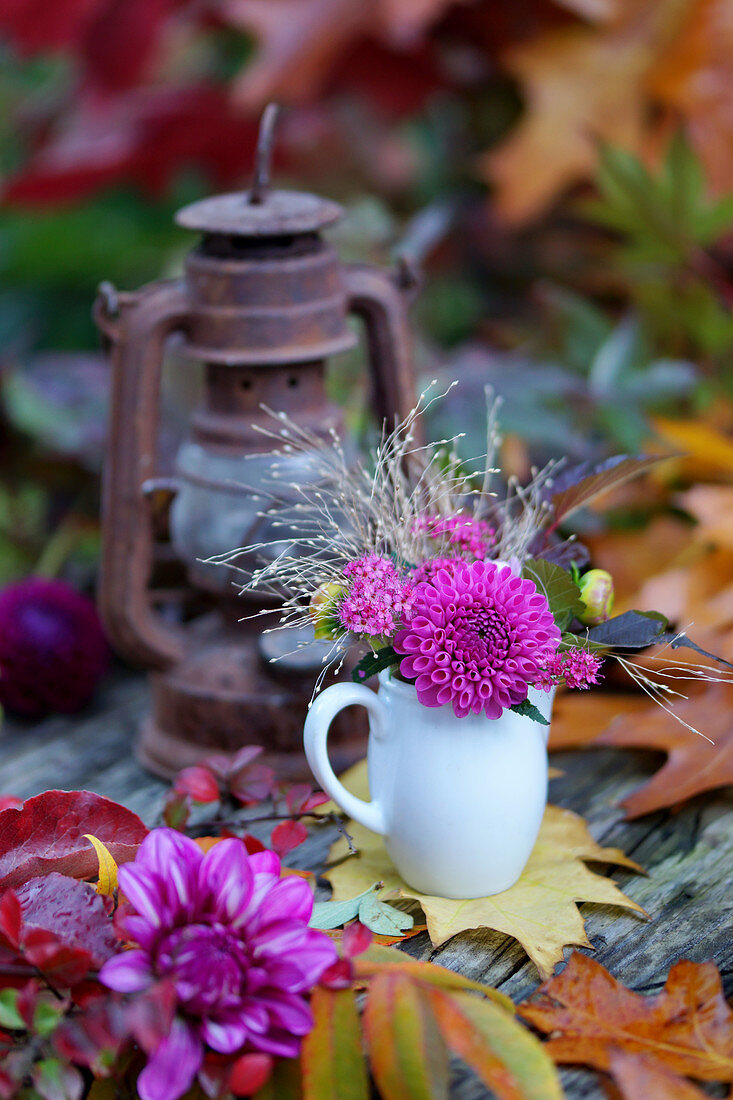 Spieree, Dahlie, Herbstlaub und rostige Laterne auf Gartentisch