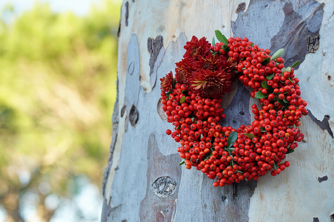 Wreath of berries and chrysanthemums hung on tree trunk