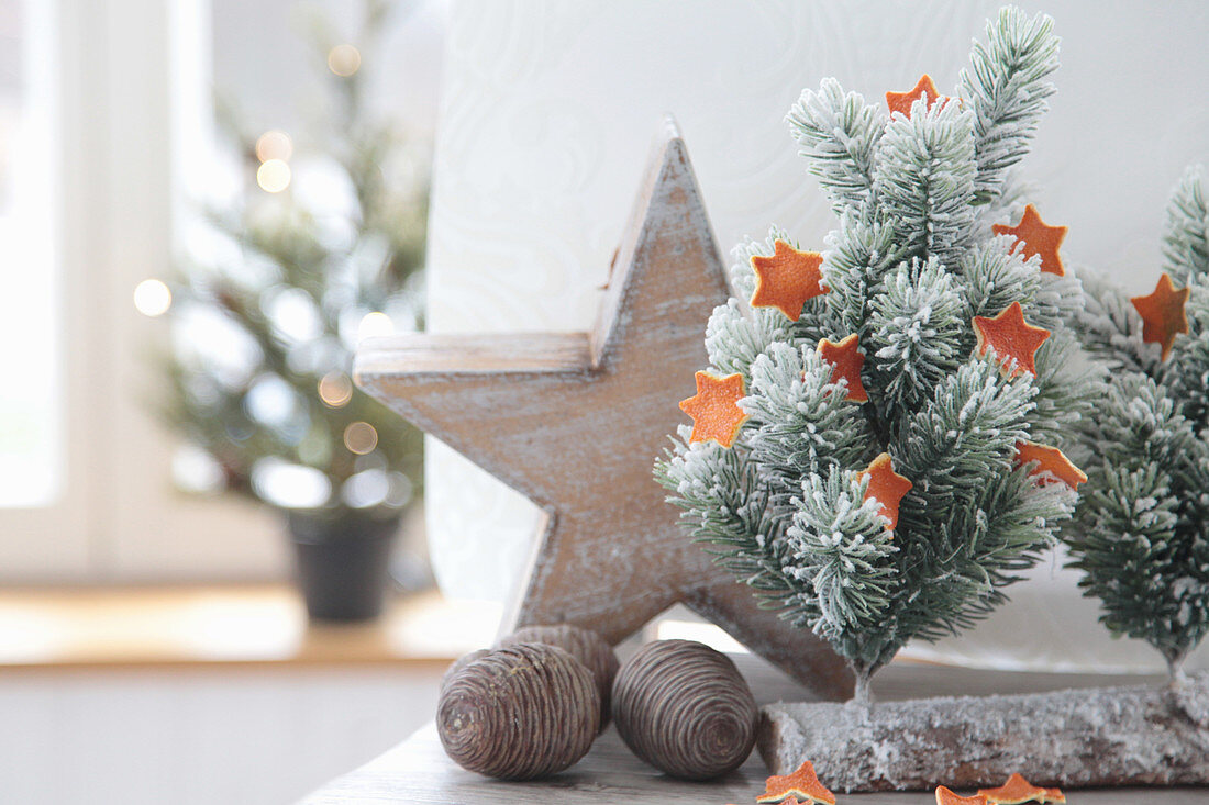 Tiny Christmas tree with stars made of orange peel, wooden star and cones