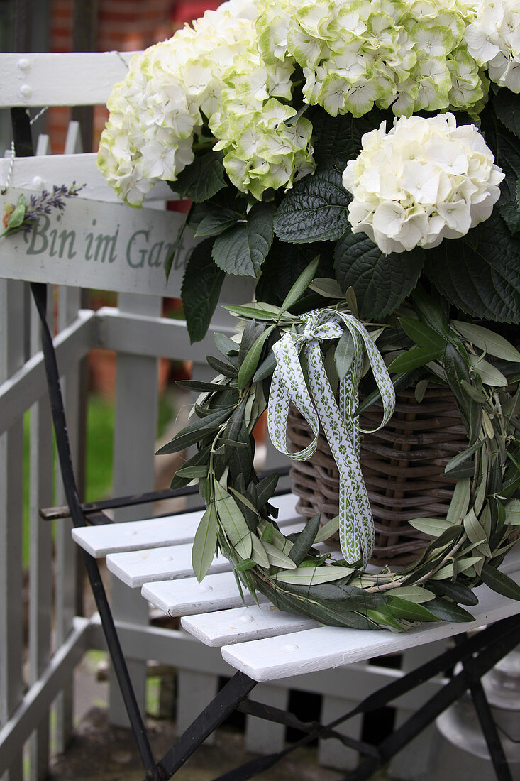 White hydrangea in a basket with a wreath of olive leaves
