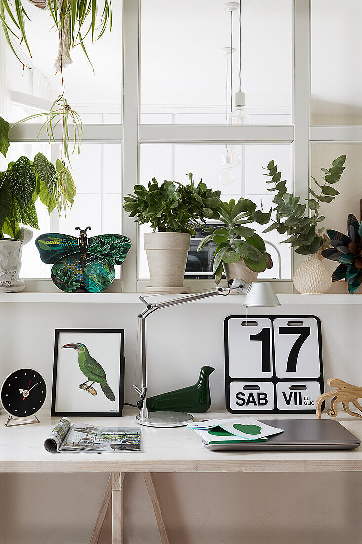 Schreibtisch mit Kalender, darüber Fensterbank mit Zimmerpflanzen