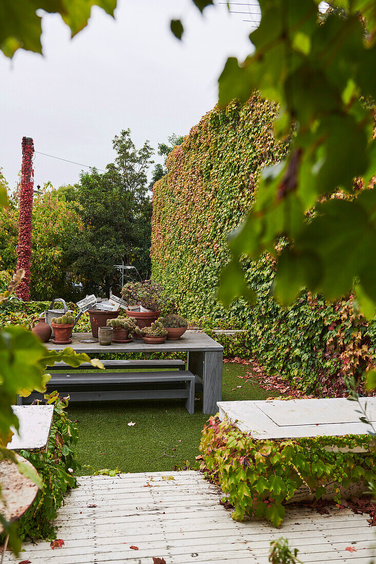 Terrace and garden with seating area and wall with Virginia creeper
