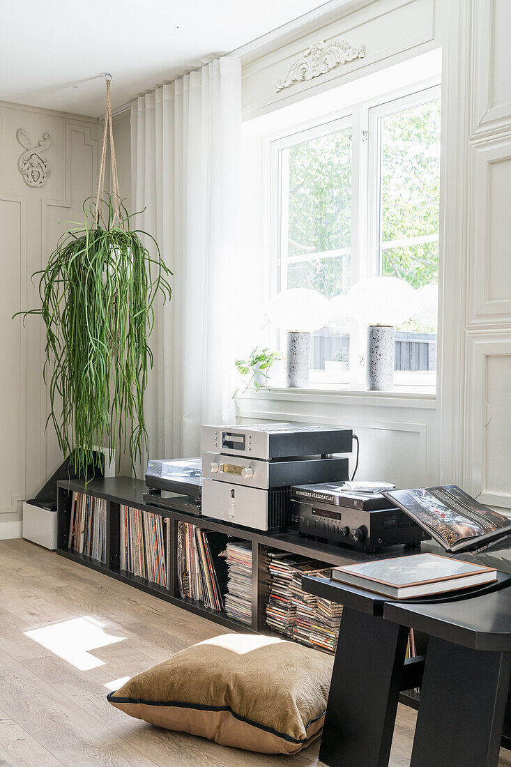 Record shelves below hanging houseplant in bright room