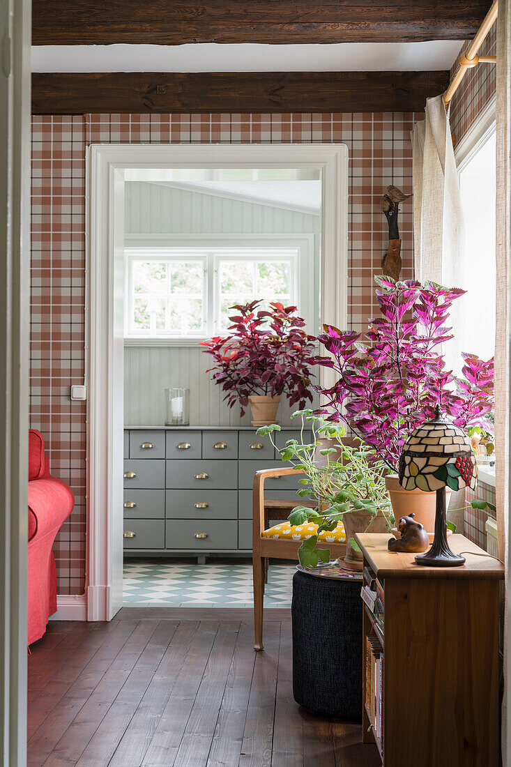 Bücherregal mit Tischlampe und Zimmerpflanze im Wohnzimmer mit karierter Tapete
