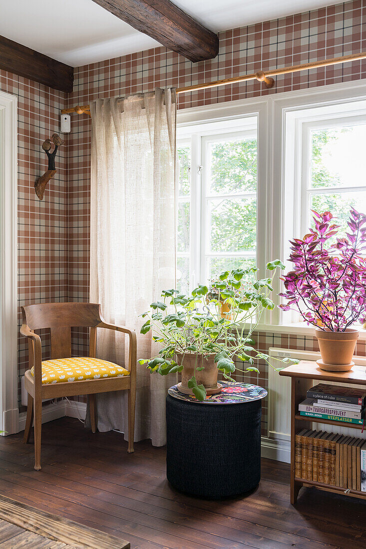 Armchair, side table and bookshelf with houseplants in living room with tartan wallpaper