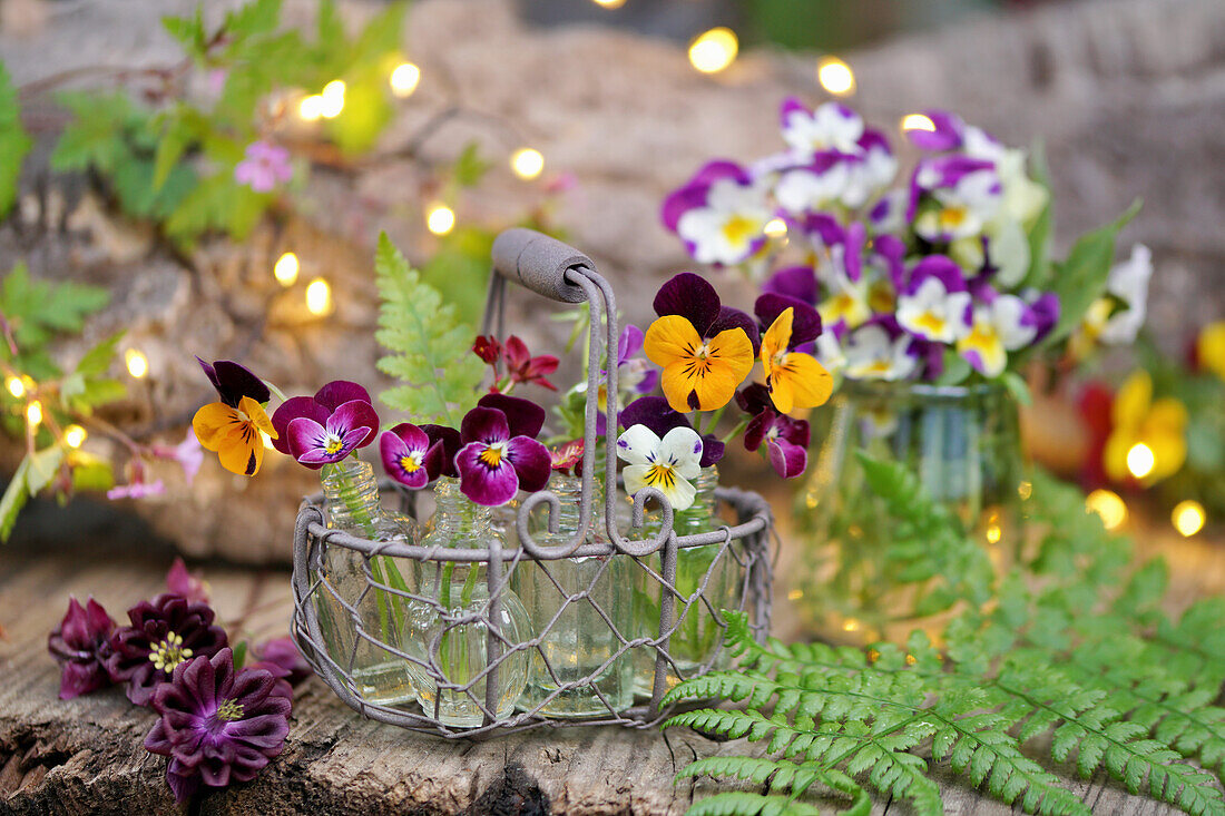 Small bottles with horned violet flowers in wire basket
