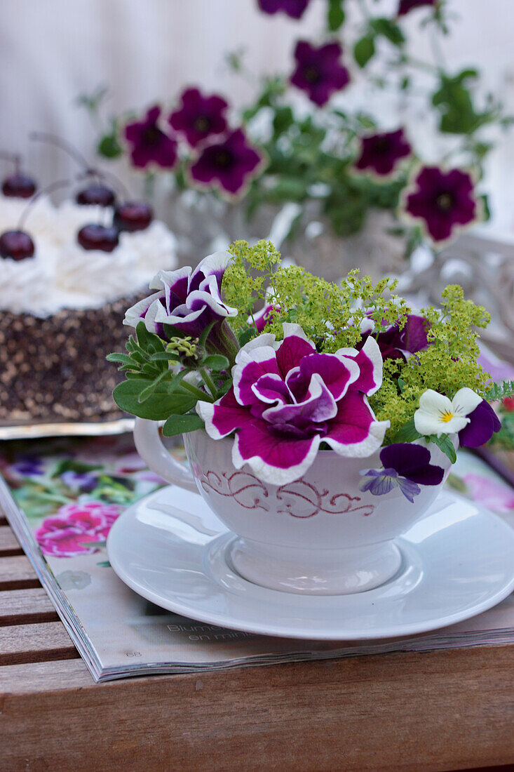 Small flower arrangement of petunia, horned violet and lady's mantle in a tea cup