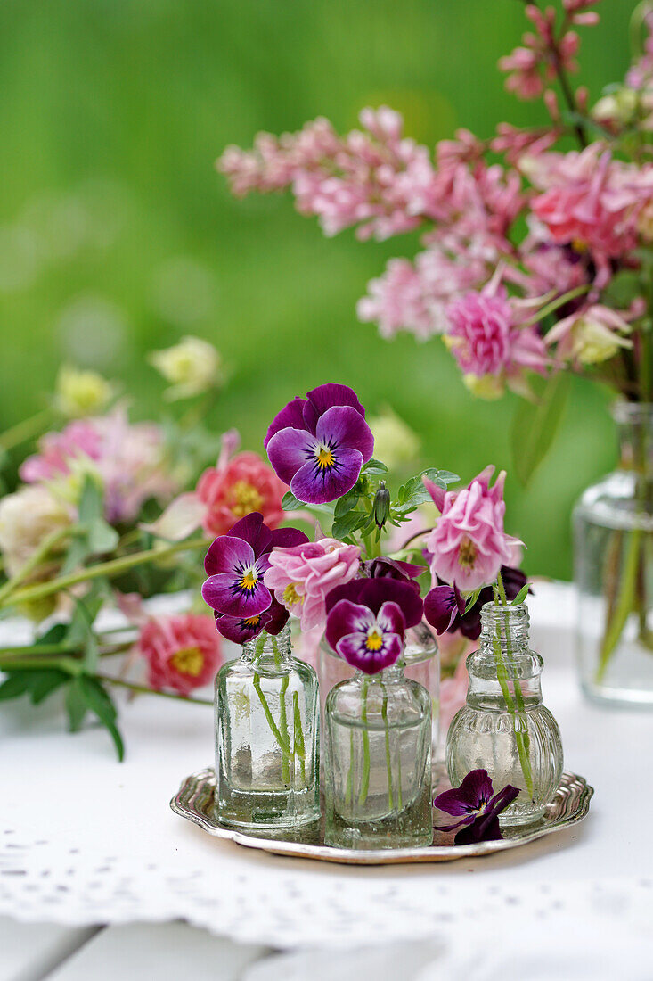 Blüten von Hornveilchen und Akelei in kleinen Flaschen auf silbernem Tablett
