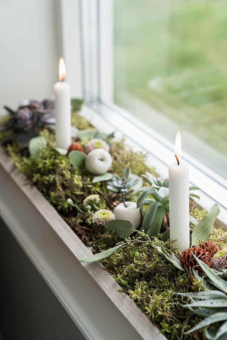 Pflanzen-Arrrangement mit Kerzen auf der Fensterbank