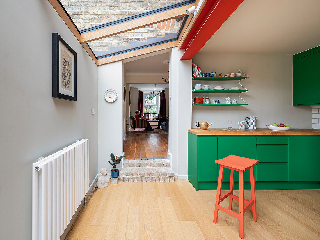Blick von der Küche mit grünem Unterschrank in den Wohnbereich