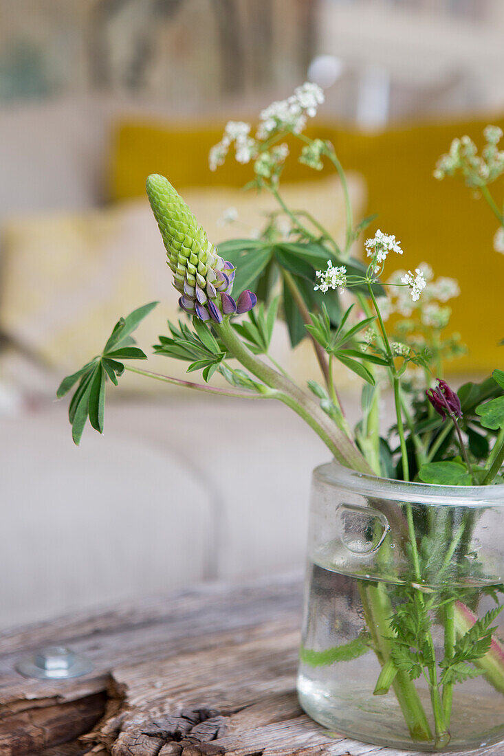 Lupins in glass jar on rustic wooden table