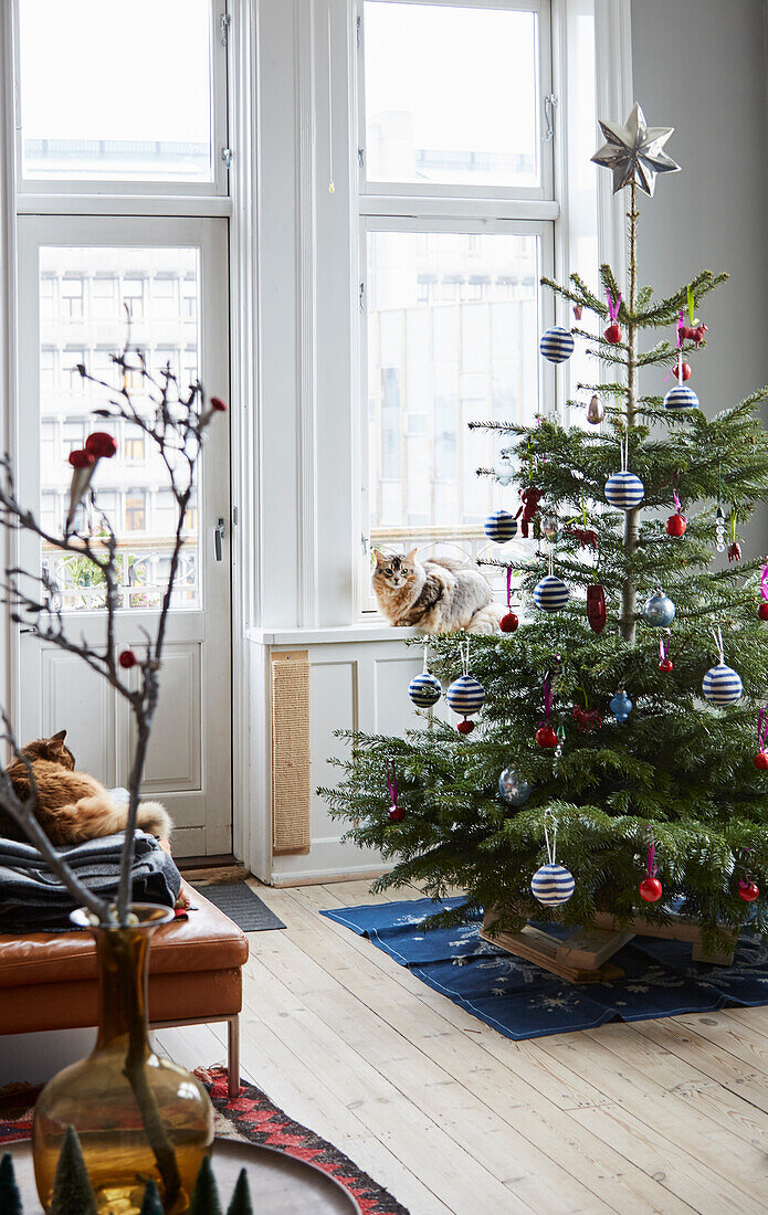 Geschmückter Weihnachtsbaum vor Fenster mit Katze