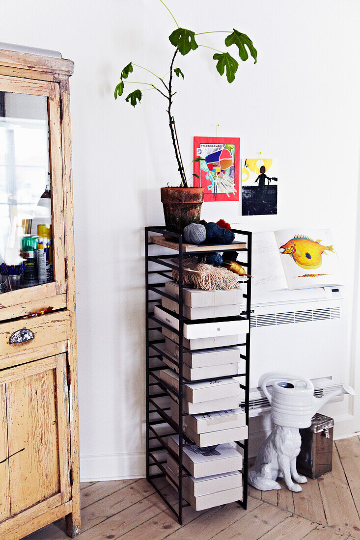 Narrow shelf with decorative elements and plant in a bright room