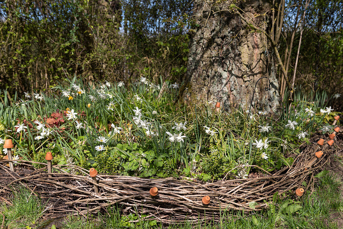 Frühlingsblüher im Beet mit kranzförmiger Einfassung und Mini-Pflanztöpfen