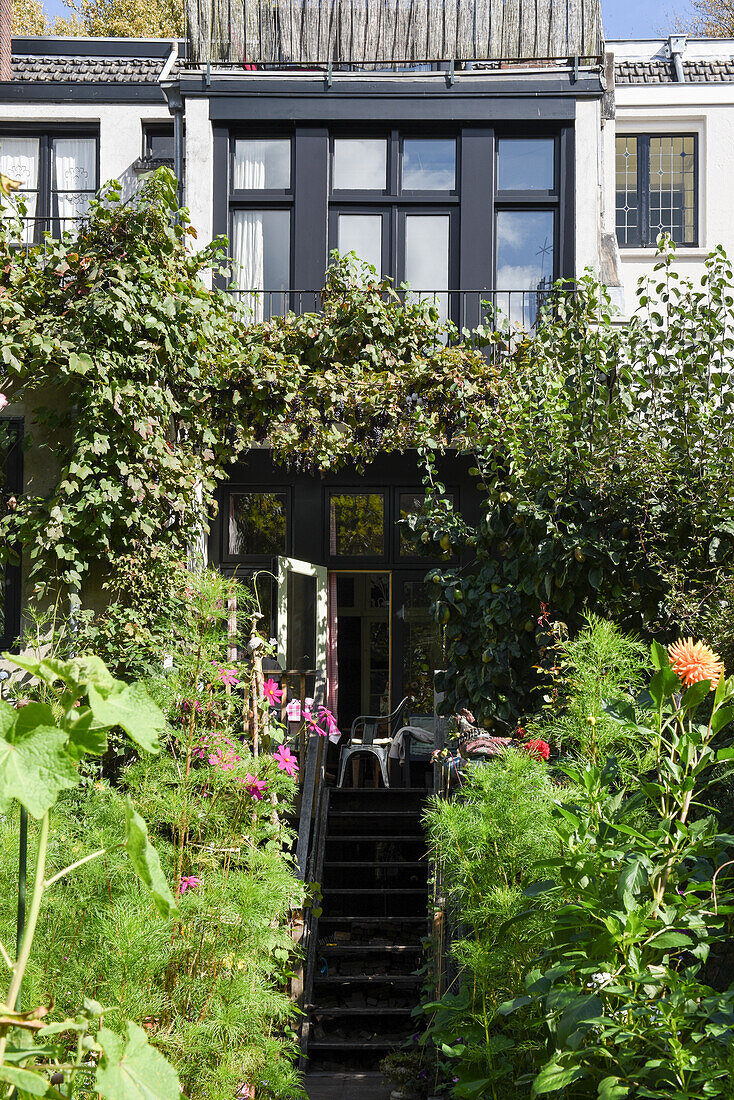 Vorgarten mit Sommerblumen, Treppen führen zum Hauseingang