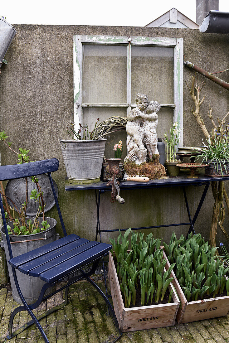 Blue garden chair, wooden boxes of tulips and vintage-style garden decorations