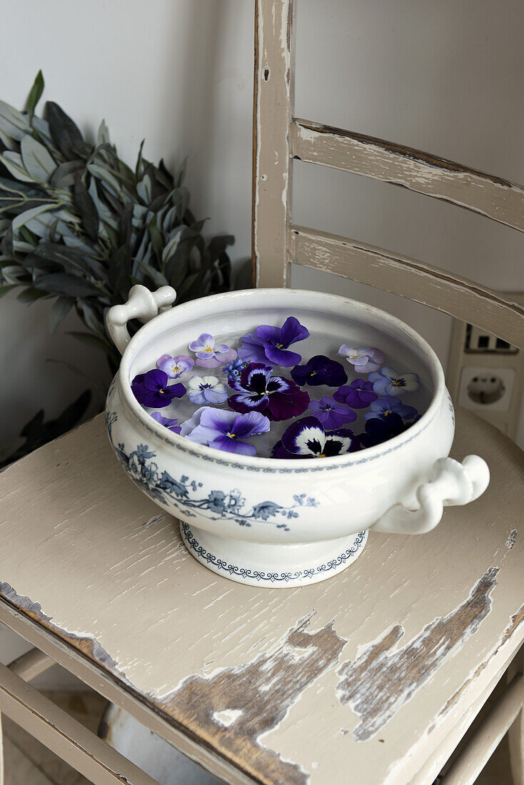 Blue pansies in an old soup tureen on a battered chair