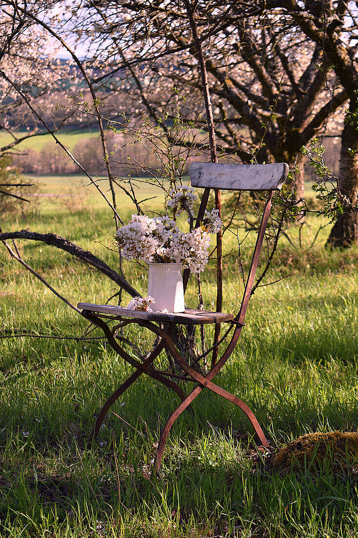 Bouquet of cherry blossoms on a chair in the meadow