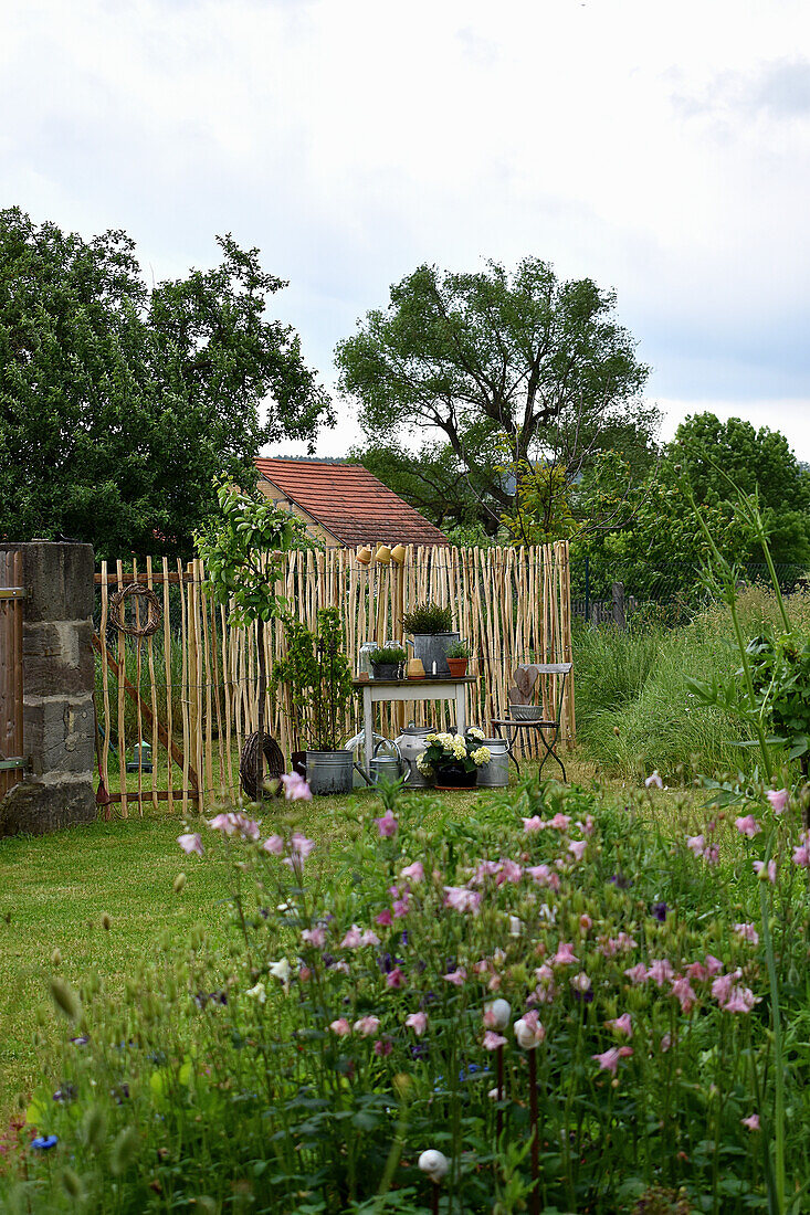 Frühsommer-Garten mit Akelei im Beet und Sitzplatz am Raumteiler