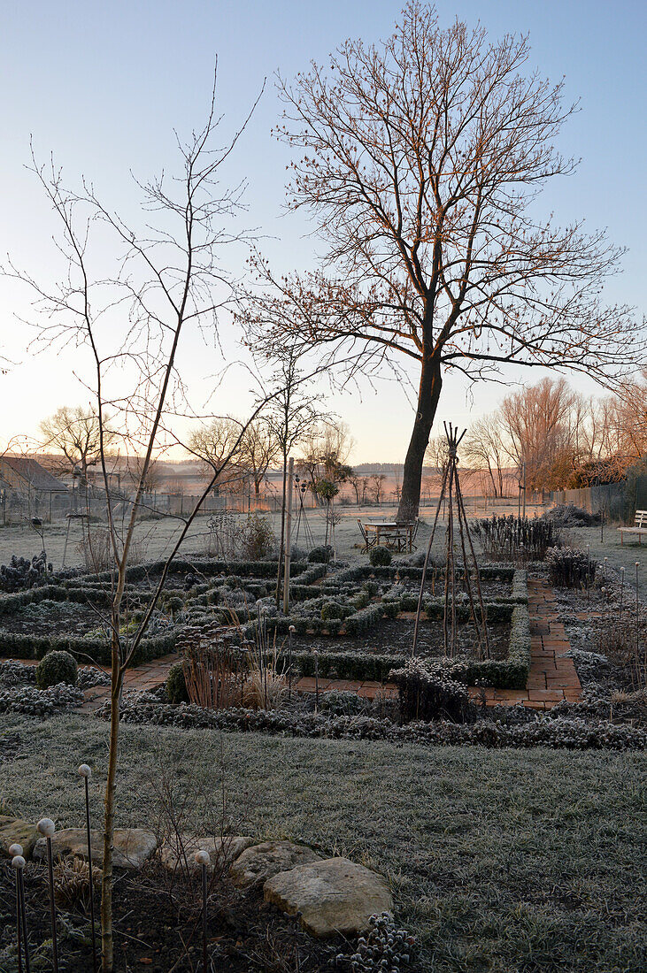 Country garden with box hedges in winter