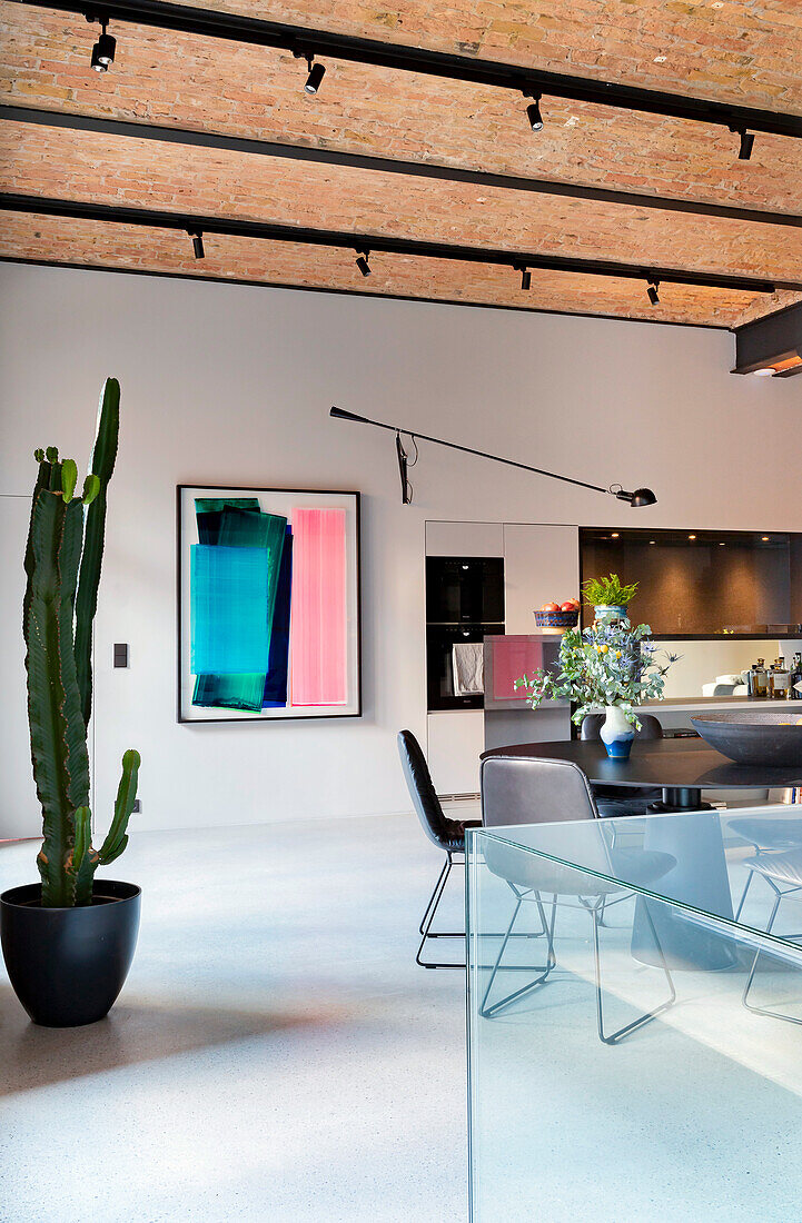 Open-plan living room with kitchen, dining table and large cactus in a pot