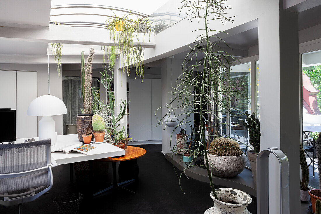 Spacious room with desk, plants and skylight