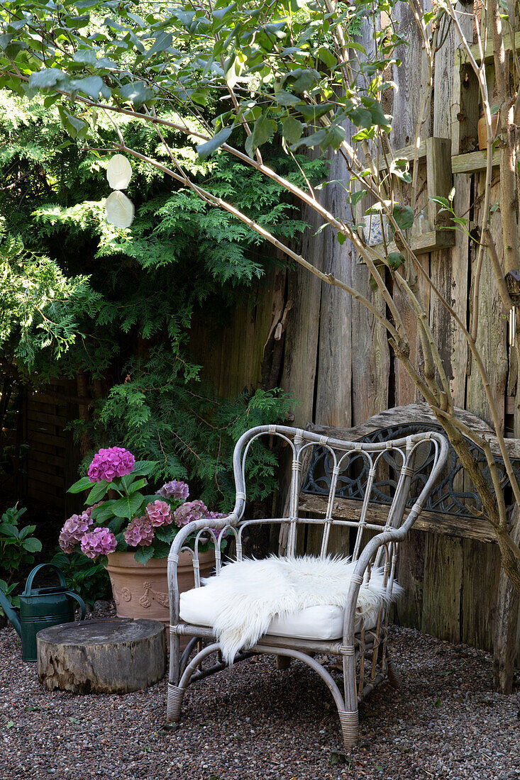 Charmanter Sitzplatz mit Hortensie im Garten