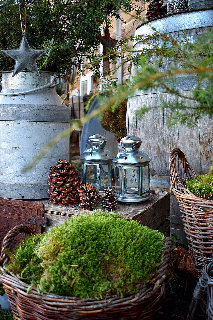 Autumnal arrangement of lanterns, vintage milk jug, moss, pinecones