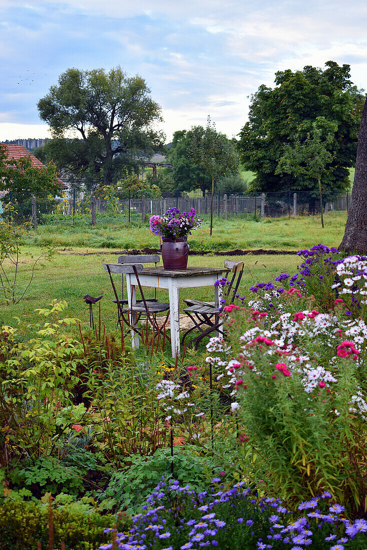 Astern im Beet, rustikaler Gartentisch auf dem Rasen