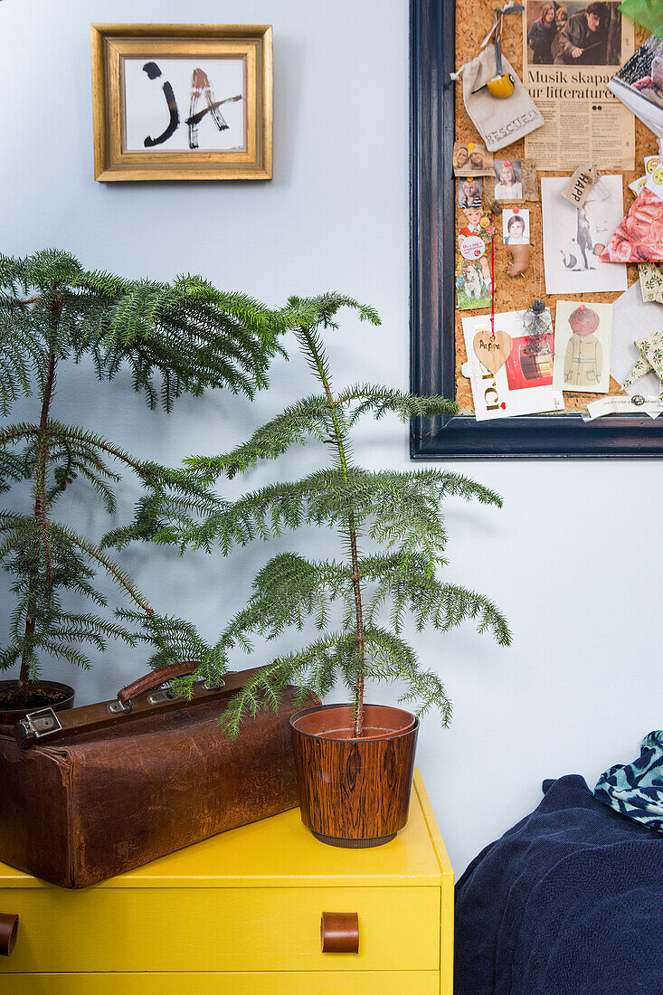 Fir trees on a yellow chest of drawers under a bulletin board