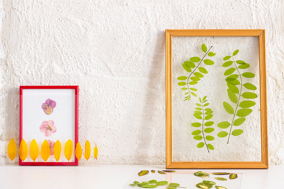 Pressed and framed petals and leaves