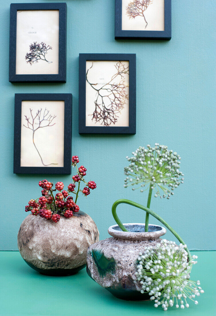 Rahmen mit getrockneten Algen, die über Vasen mit Brombeeren und Lauchblumen hängen